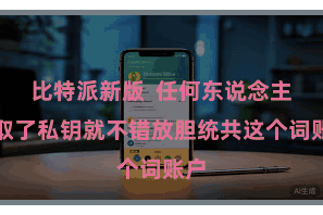 比特派新版 任何东说念主获取了私钥就不错放胆统共这个词账户