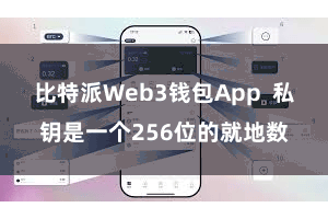 比特派Web3钱包App  私钥是一个256位的就地数